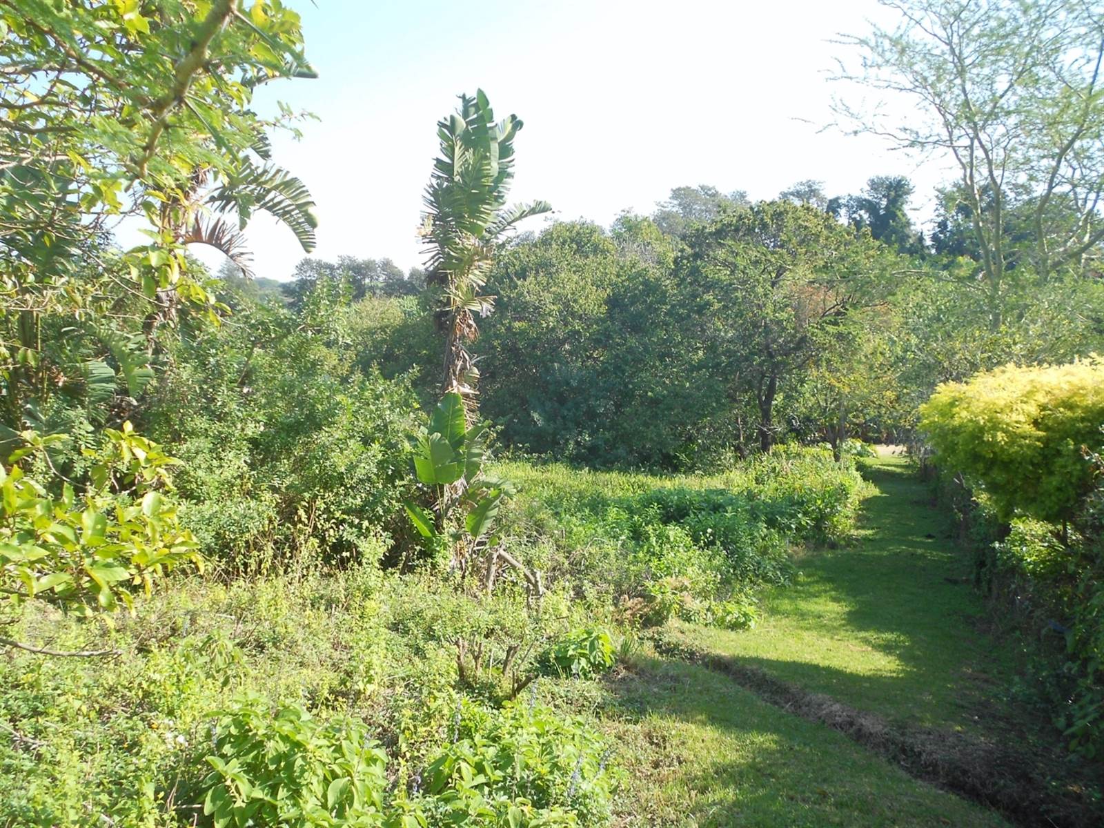 2441 m² Land available in Southbroom photo number 9