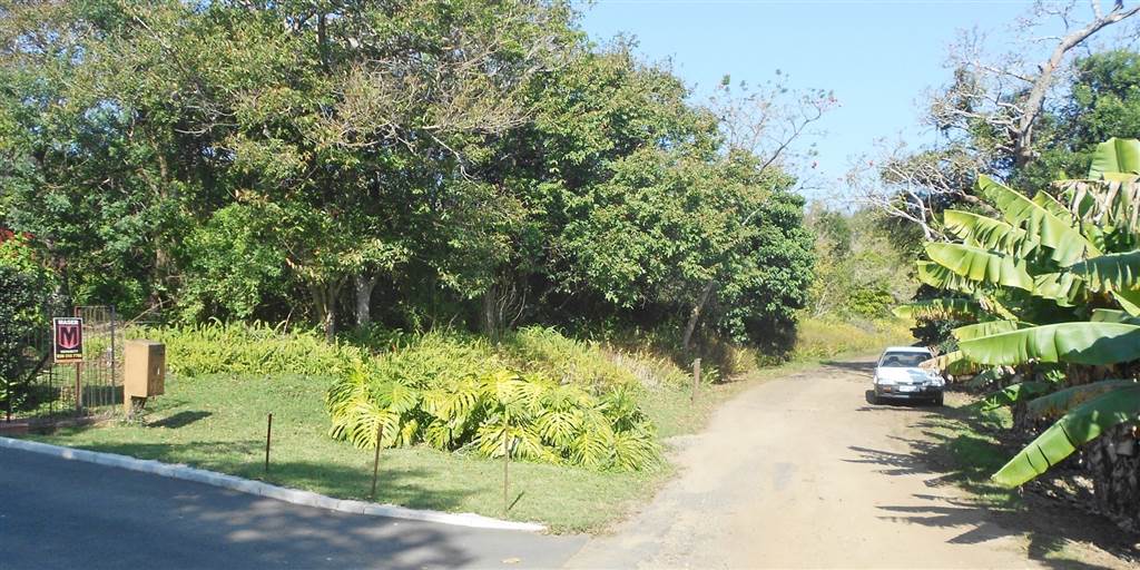 2441 m² Land available in Southbroom photo number 10