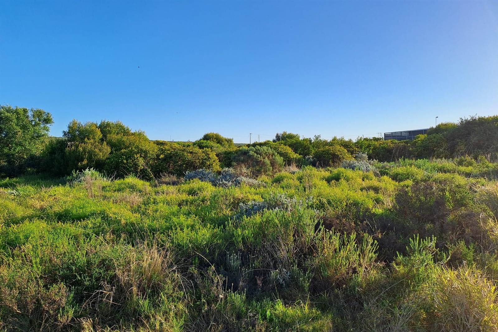 1300 m² Land available in Mossel Bay Central photo number 1