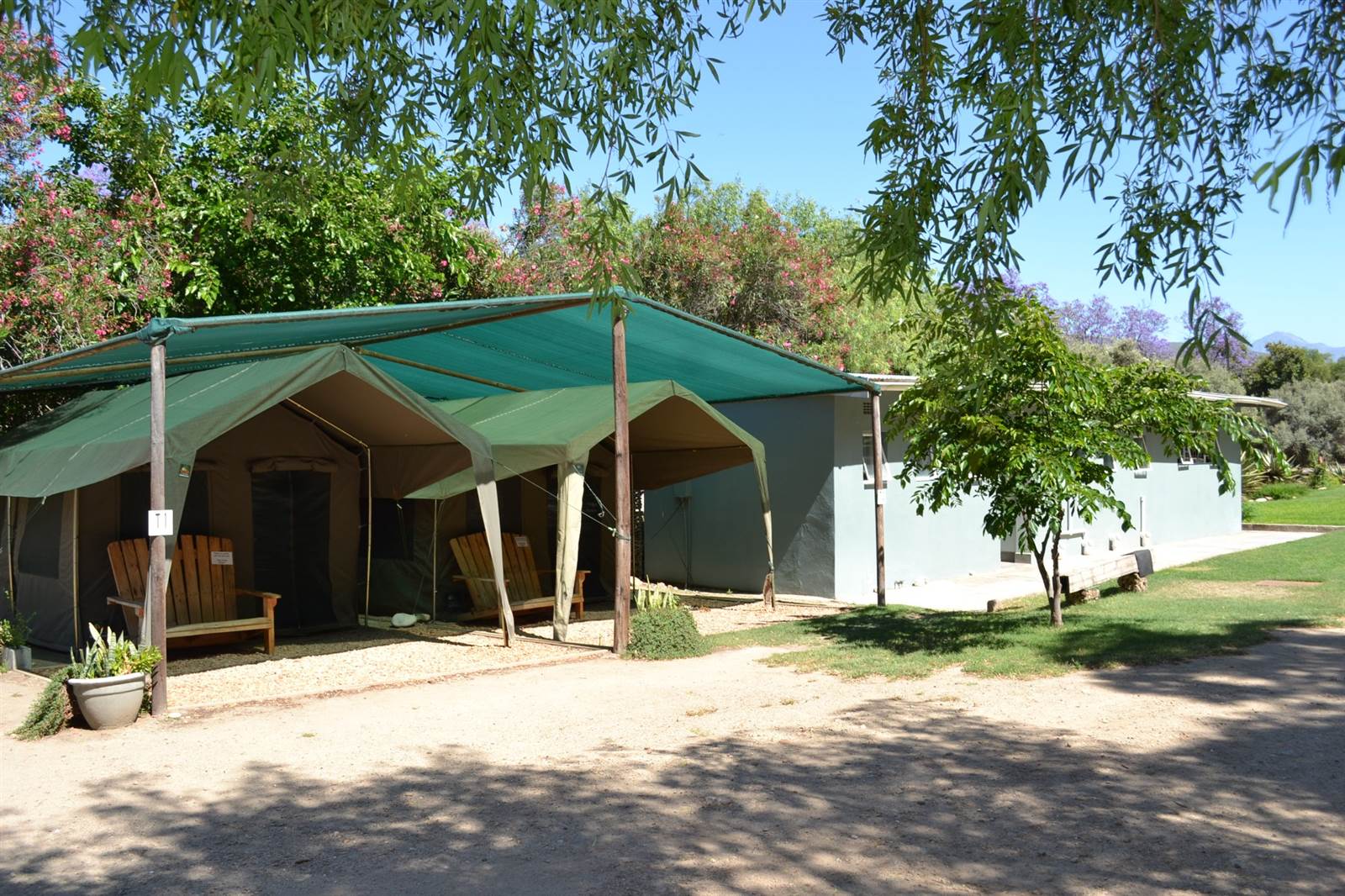 665  m² Commercial space in Calitzdorp photo number 11