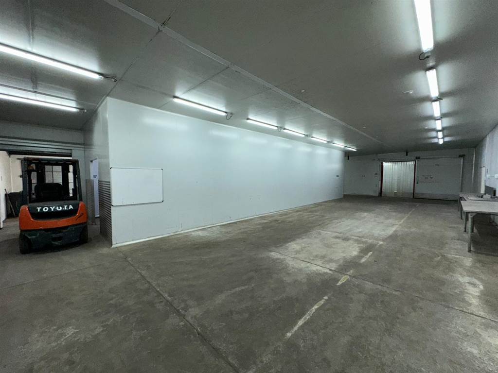650  m² Industrial space in Philippi photo number 10