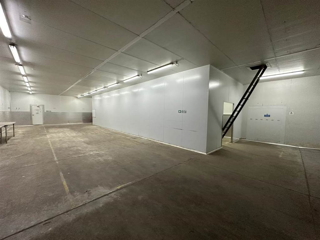 650  m² Industrial space in Philippi photo number 7