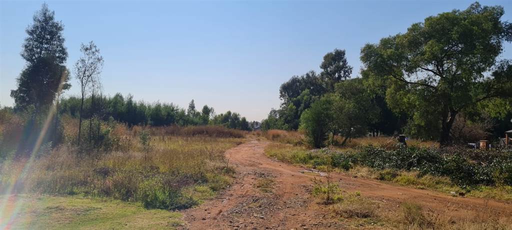 4739 ha Land available in Benoni AH photo number 13