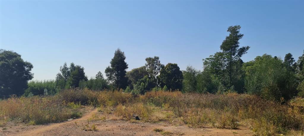 4739 ha Land available in Benoni AH photo number 8