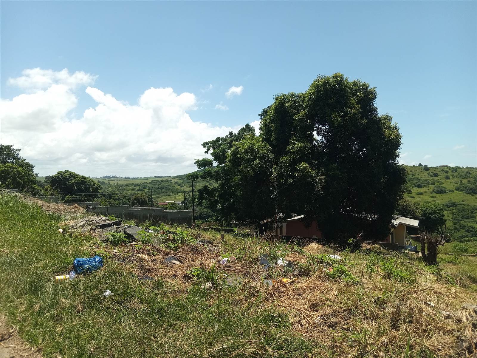 1769 m² Land available in Townview photo number 10