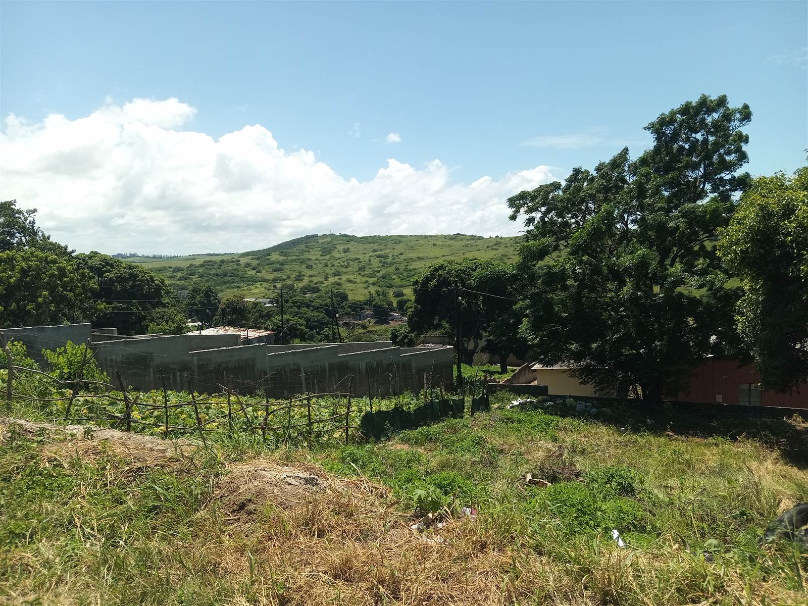 1769 m² Land available in Townview photo number 4