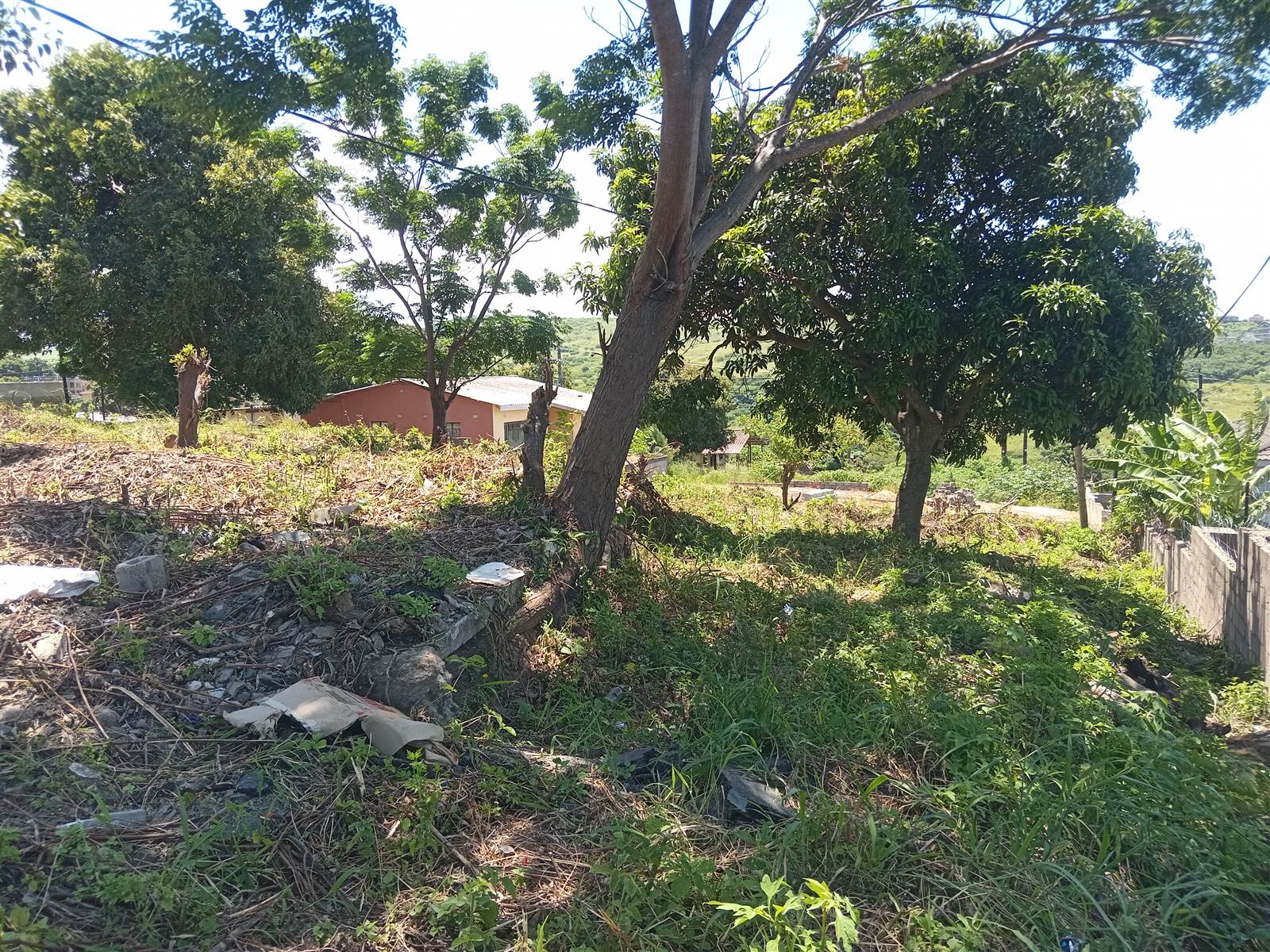 1769 m² Land available in Townview photo number 8
