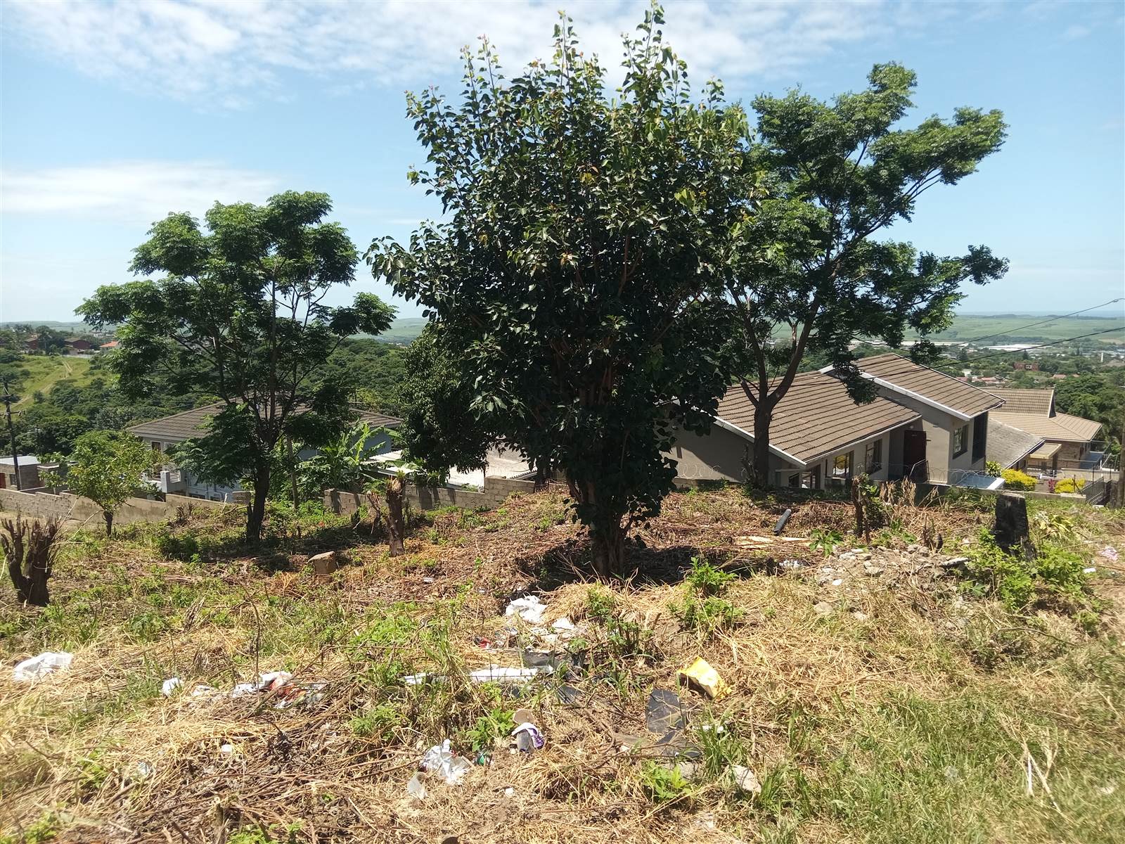 1769 m² Land available in Townview photo number 6