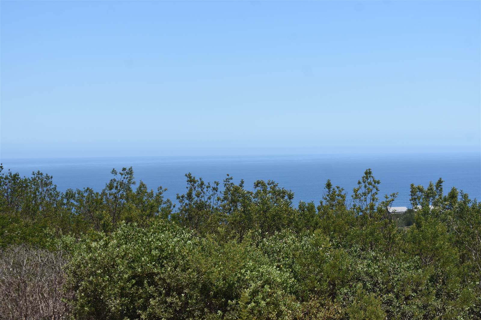 5273 m² Land available in Pezula Private Estate photo number 3