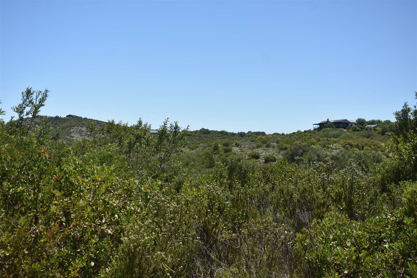 5273 m² Land available in Pezula Private Estate photo number 7