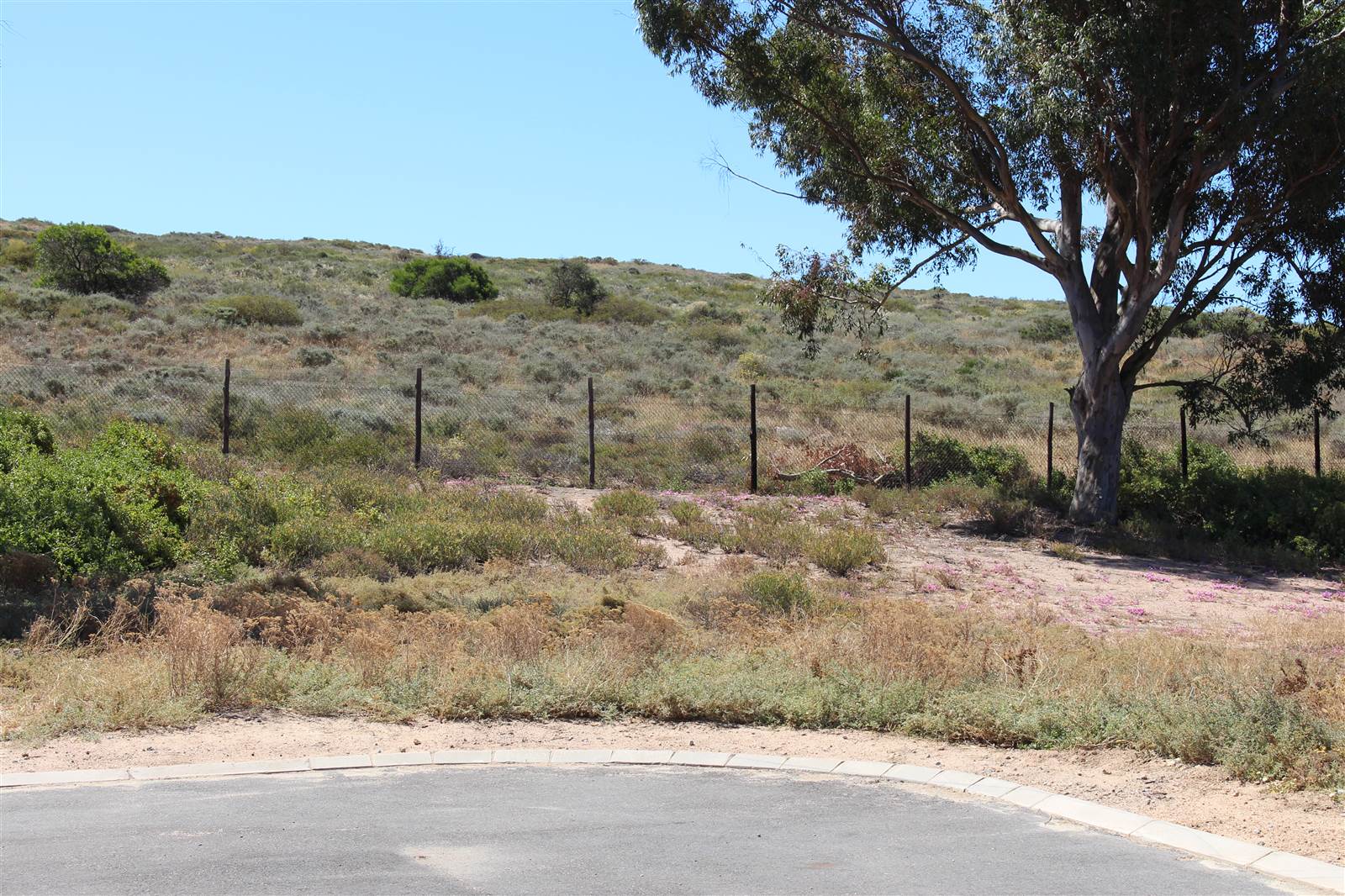 436 m² Land available in St Helena Views photo number 4