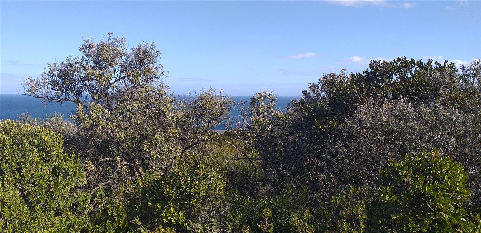 3.3 ha Land available in Herolds Bay photo number 14