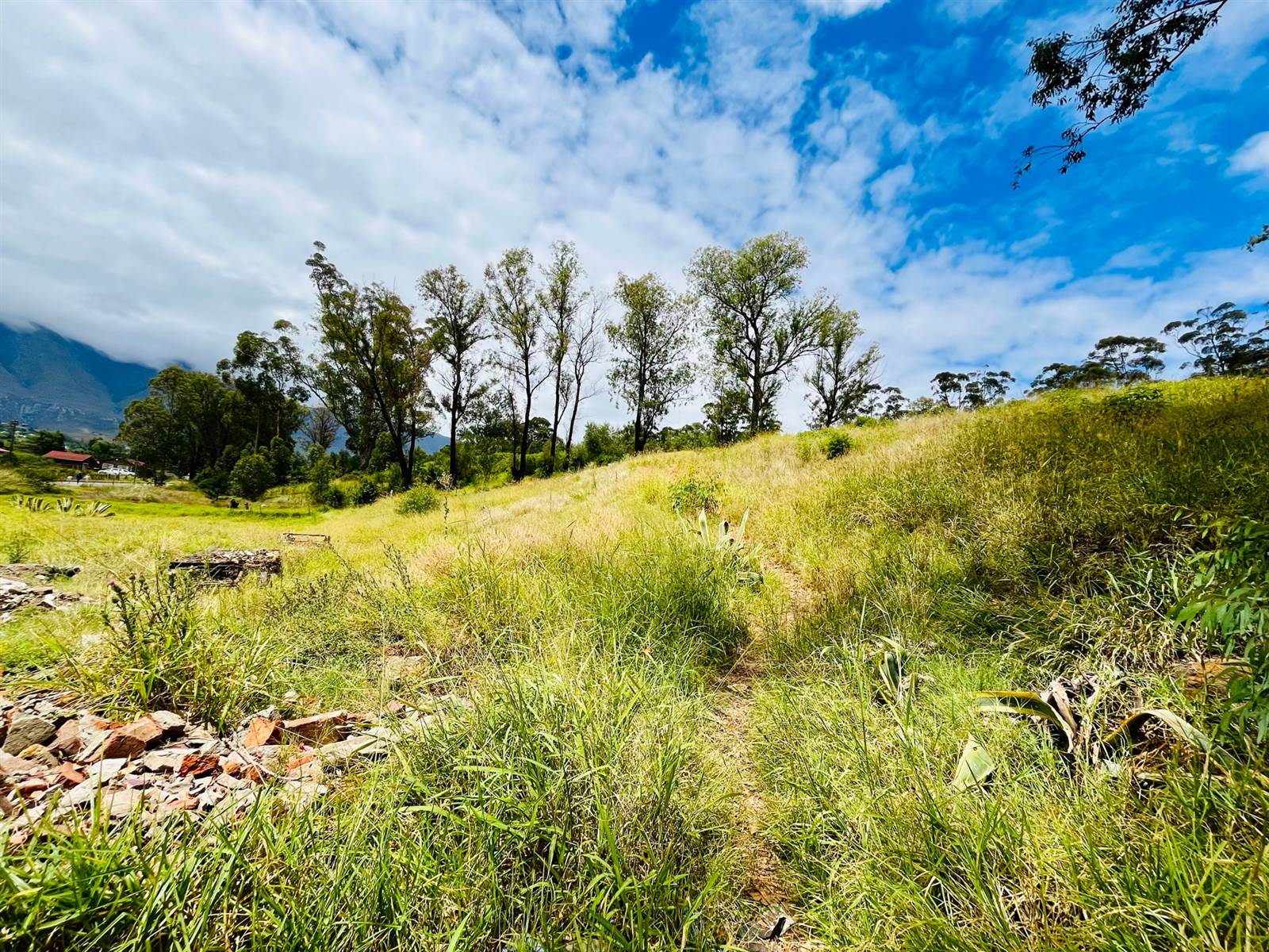 4948 m² Land available in Swellendam photo number 2