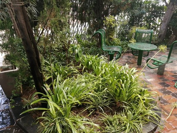 3 Bedroom House 3 Bedroom House