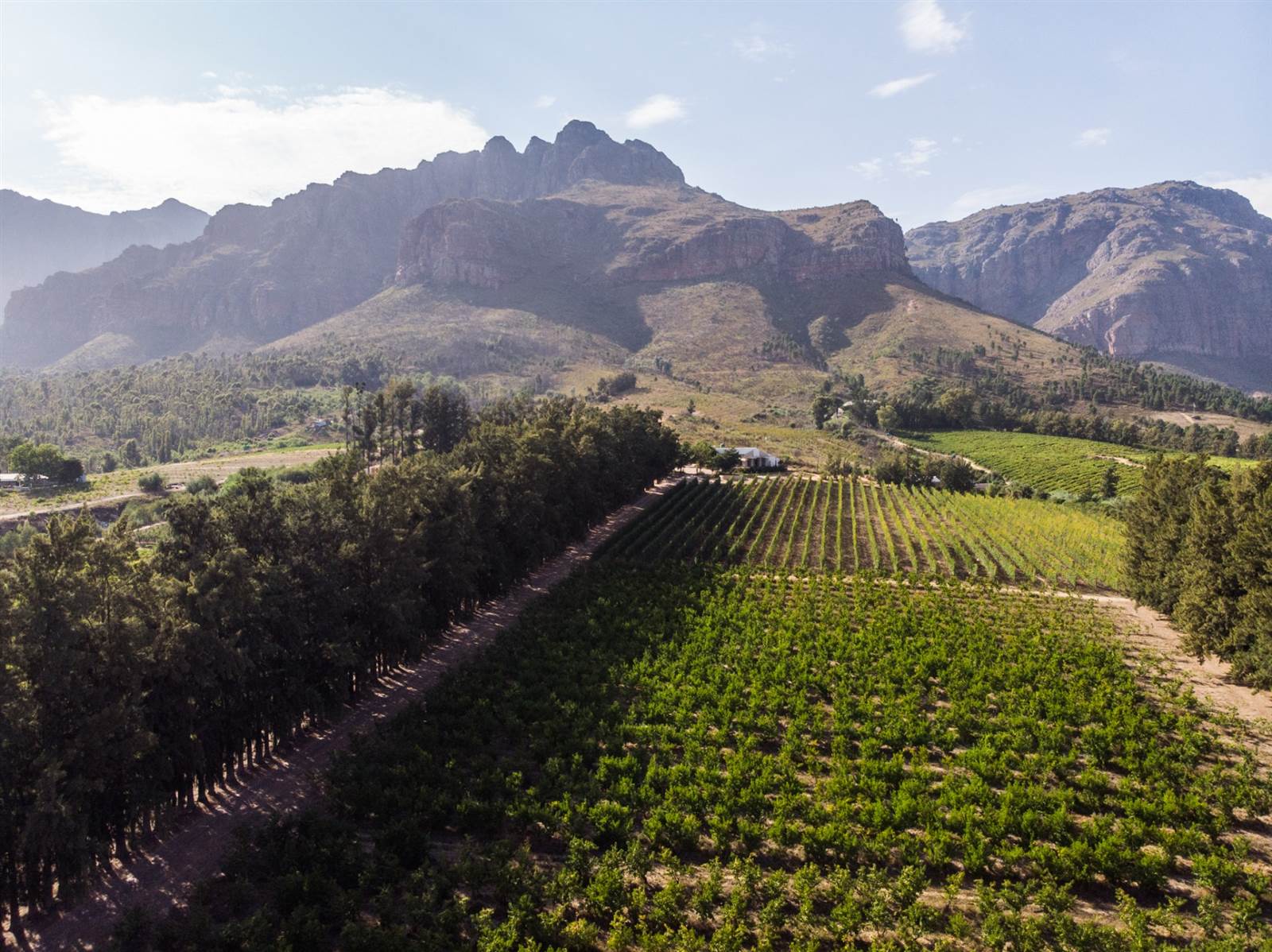 30 ha Farm in Northern Paarl photo number 12