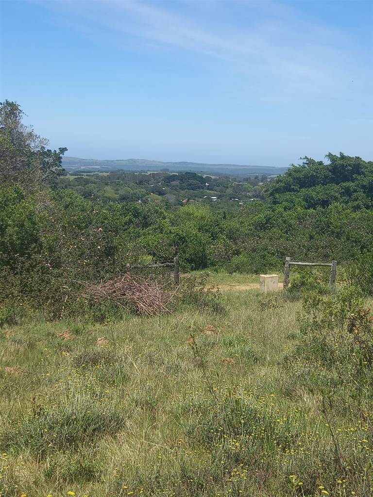 5402 m² Land available in Bathurst and Surrounds photo number 1