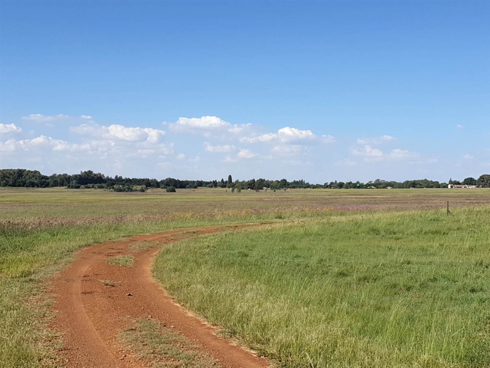 405 ha Farm in Grootfontein Estate photo number 13
