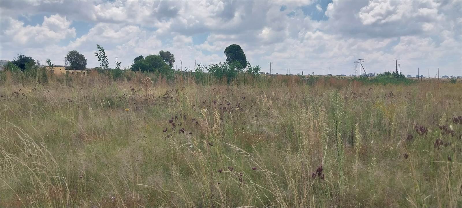 4.3 ha Land available in Lenasia photo number 13