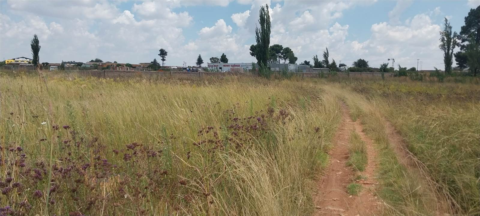 4.3 ha Land available in Lenasia photo number 8