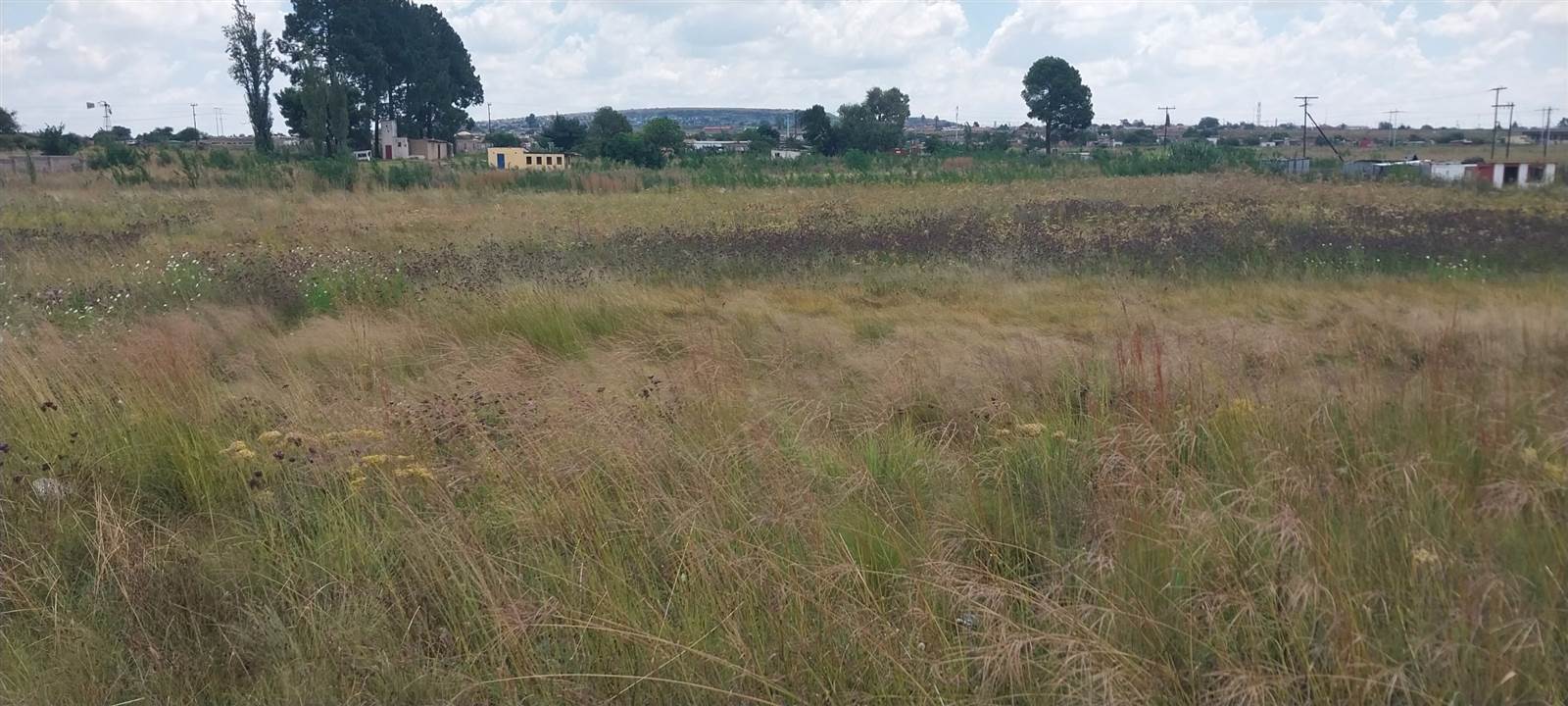 4.3 ha Land available in Lenasia photo number 6