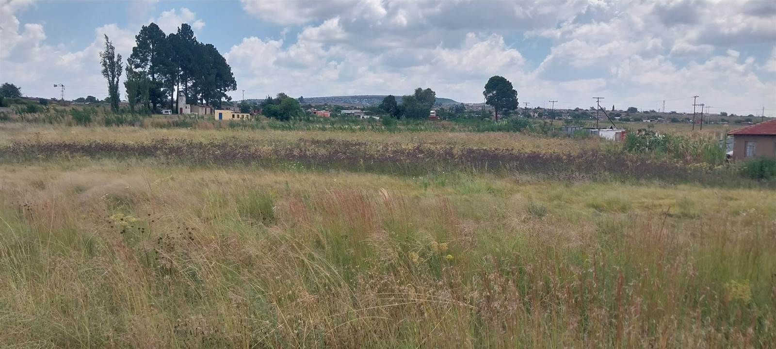 4.3 ha Land available in Lenasia photo number 5