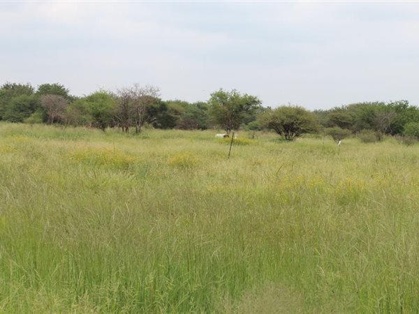 362 m² Land available in Northam