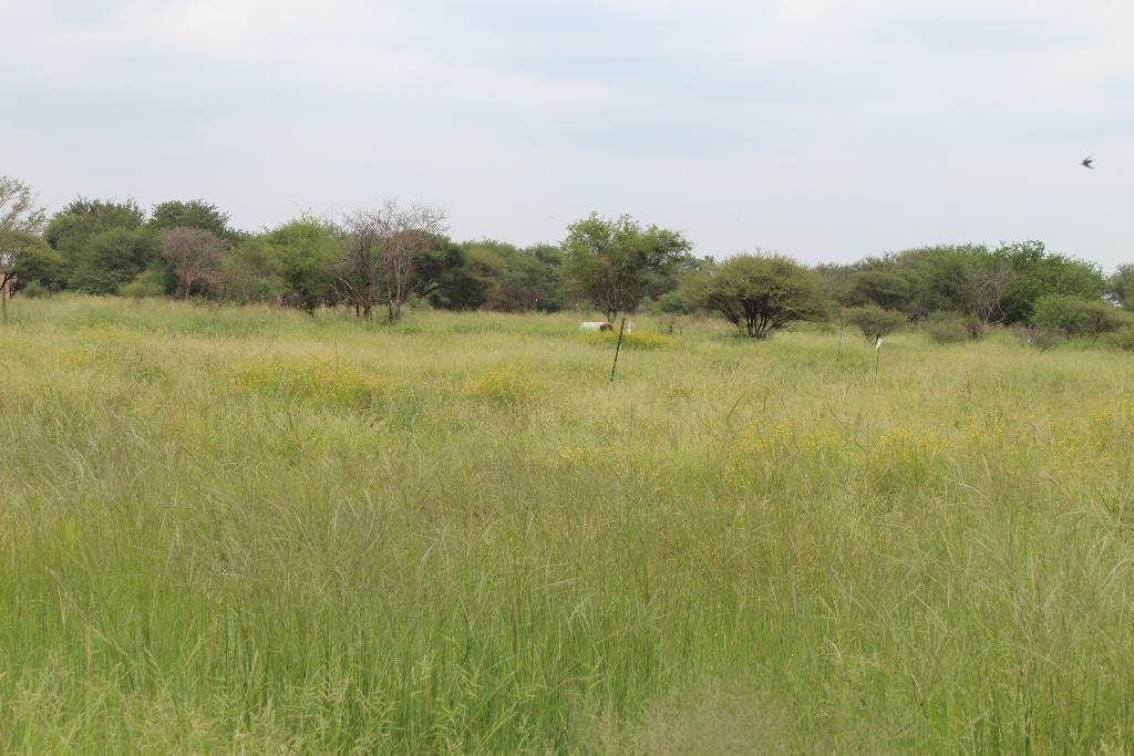 362 m² Land available in Northam photo number 1