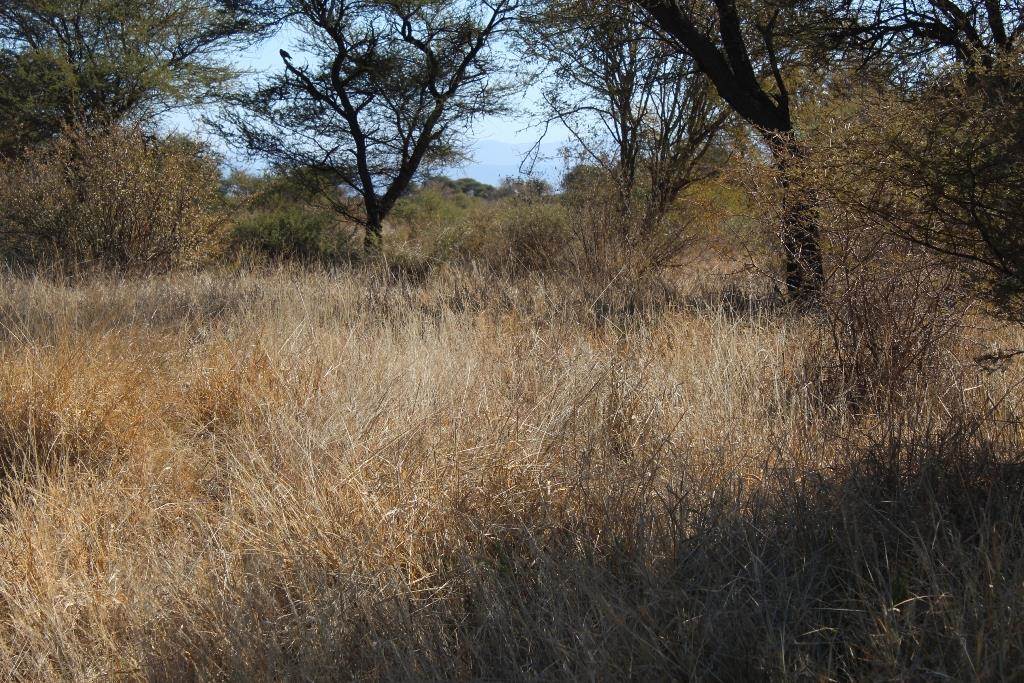 362 m² Land available in Northam photo number 15