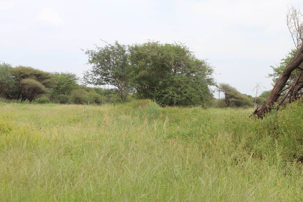 362 m² Land available in Northam photo number 3