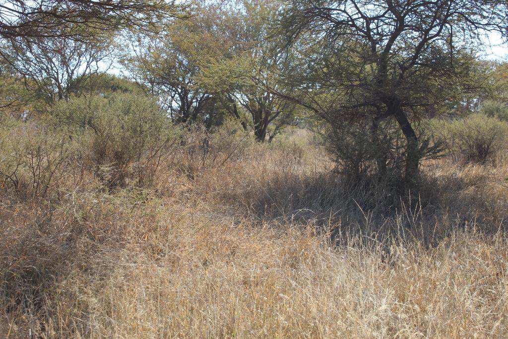 362 m² Land available in Northam photo number 14