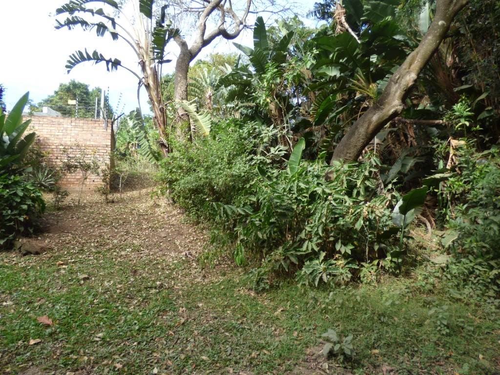 1093 m² Land available in Trafalgar photo number 2