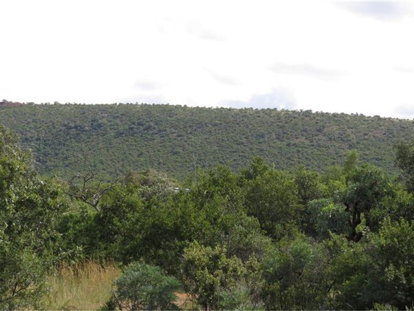 2500 m² Land available in Zwartkloof Private Game Reserve