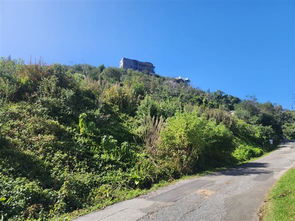 1556 m² Land available in Paradise