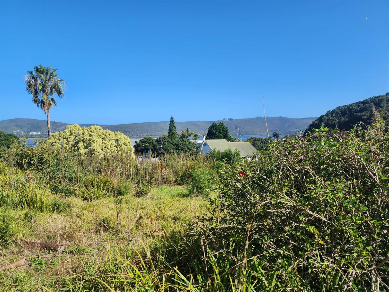 1556 m² Land available in Paradise photo number 8