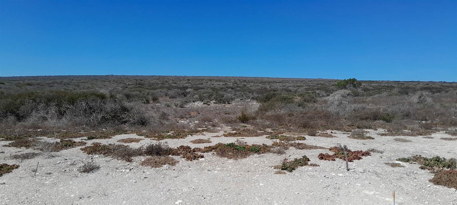 3.4 ha Land available in Jacobsbaai photo number 1