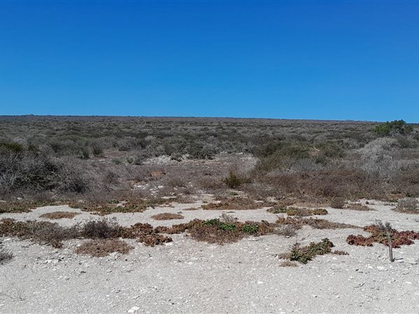 3.4 ha Land available in Jacobsbaai