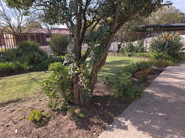 4 Bedroom House 4 Bedroom House