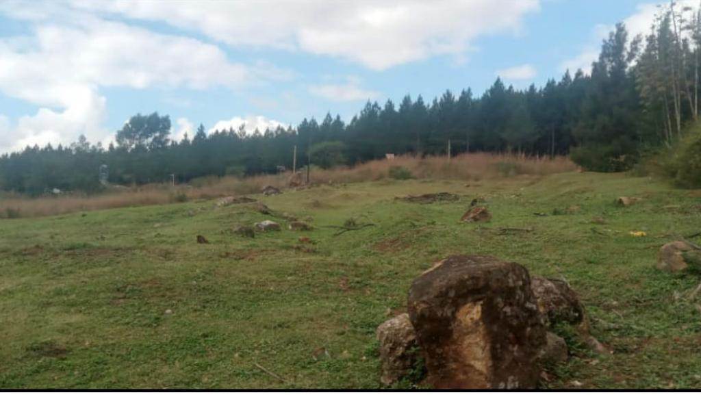 2182 m² Land available in Sabie photo number 3