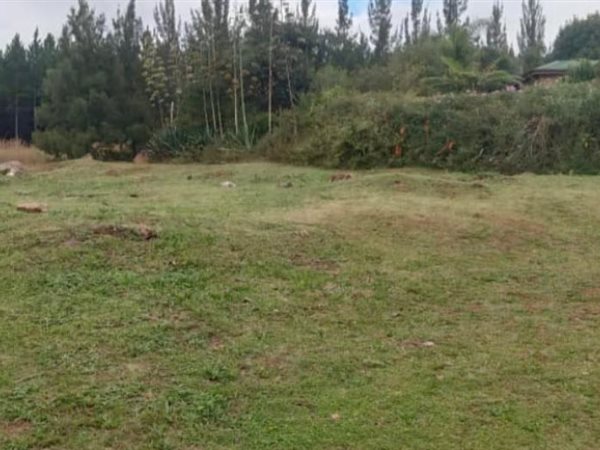 2182 m² Land available in Sabie