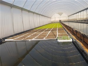 25.5 ha Farm in Kamberg