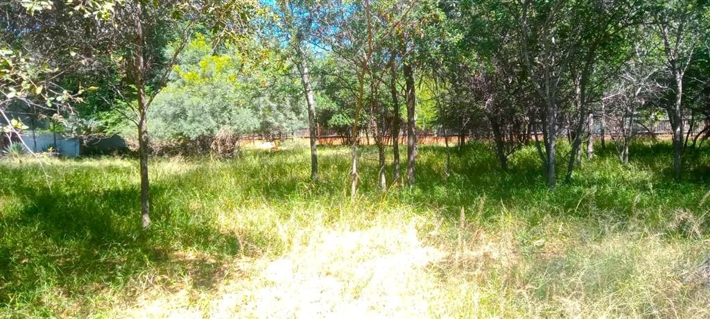 1082 m² Land available in Koro Creek Golf Estate photo number 5