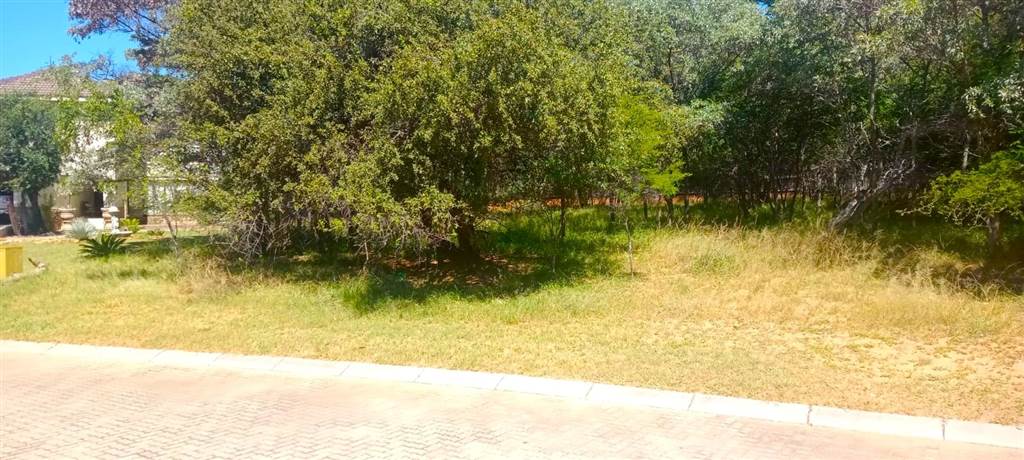 1082 m² Land available in Koro Creek Golf Estate photo number 2