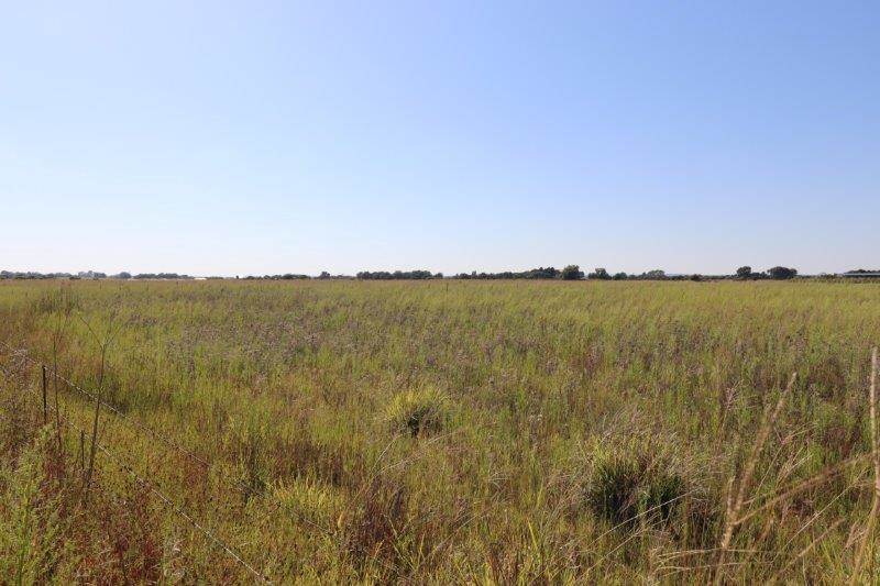 5 ha Land available in Bloemfontein photo number 5