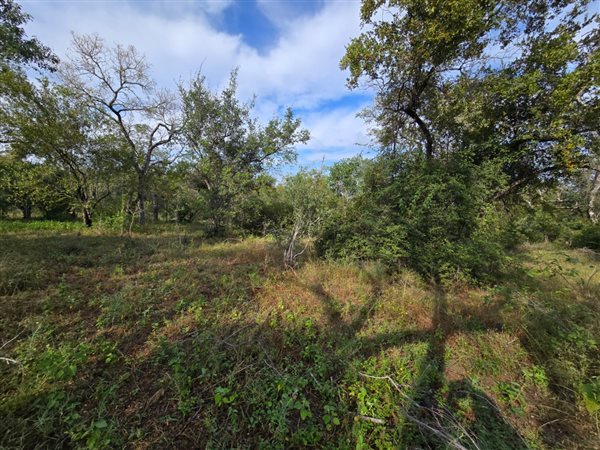 6 477 m² Land 6 477 m² Land