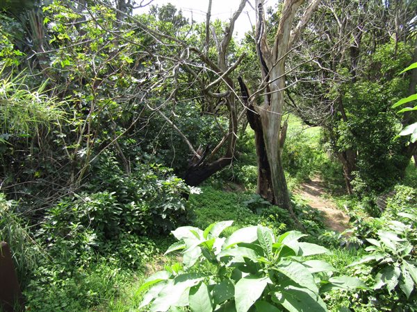 1084 m² Land available in Port Edward