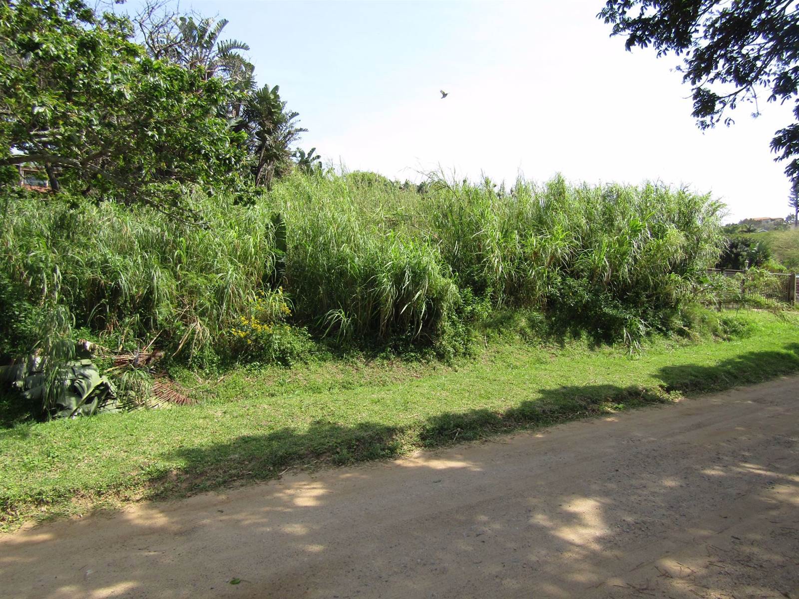 1084 m² Land available in Port Edward photo number 5