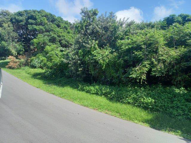 1537 m² Land available in Zinkwazi Beach photo number 4