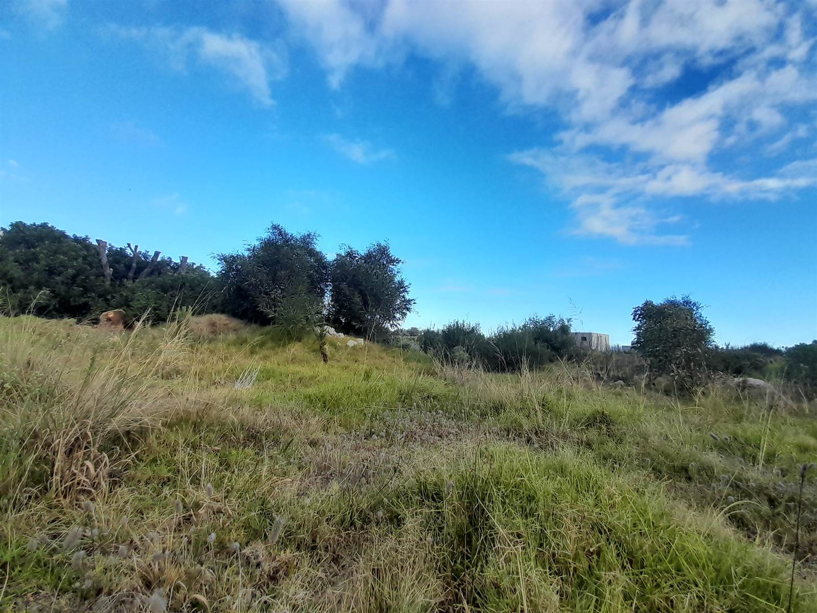 1271 m² Land available in Bettys Bay photo number 6