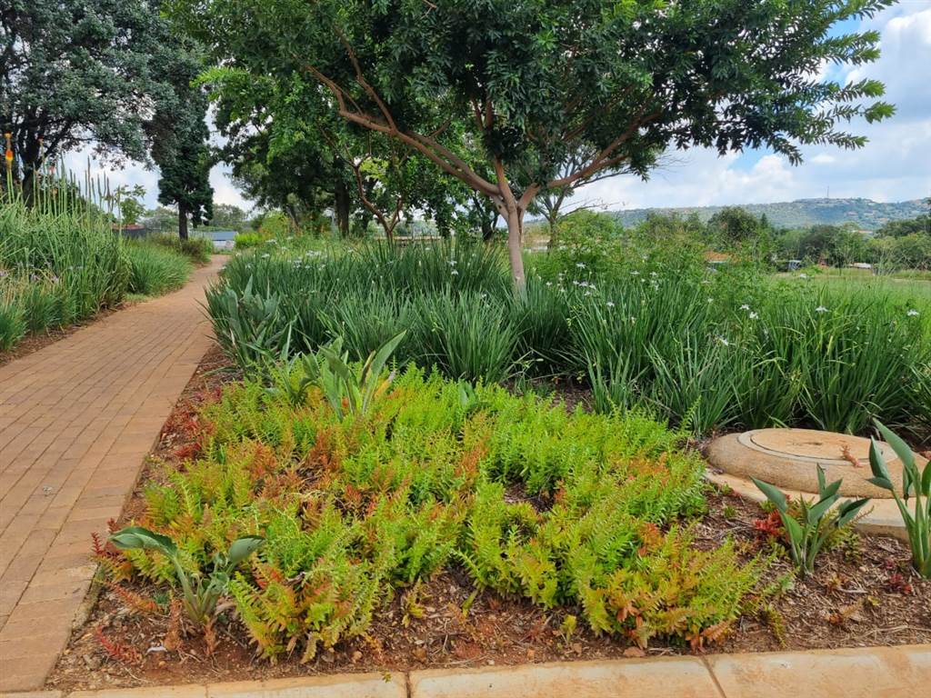690 m² Land available in Linksfield photo number 11