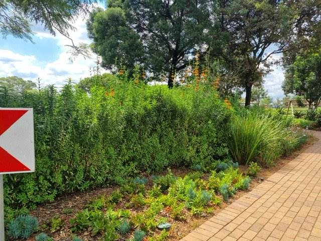 690 m² Land available in Linksfield photo number 7